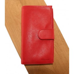 Tout-en-un - LE CAÏMAN - Compagnon en cuir gloss aspect brillant